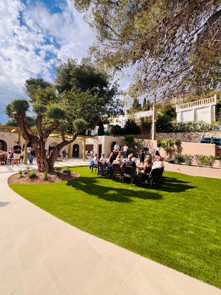 Club lawn and olive tree